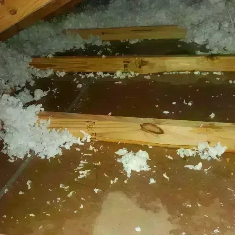 Attic Water Damage in Cherry Valley, IL