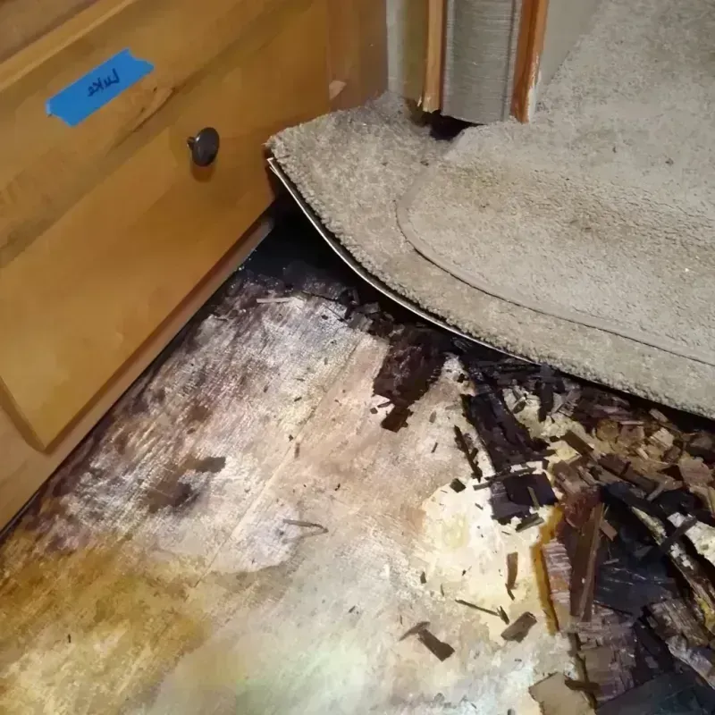 Wood Floor Water Damage in Cherry Valley, IL